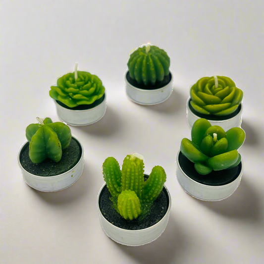 Mini Succulent Cactus Candle—no pot