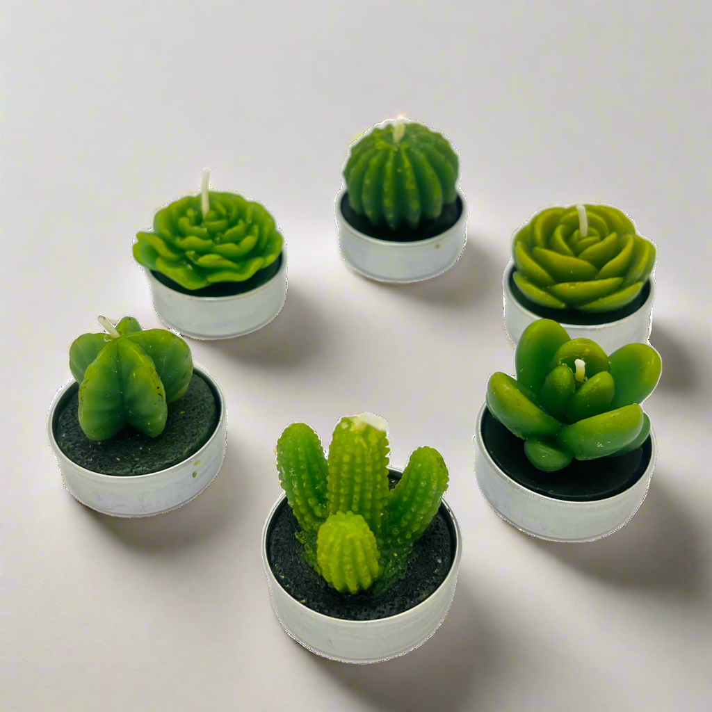 Mini Succulent Cactus Candle