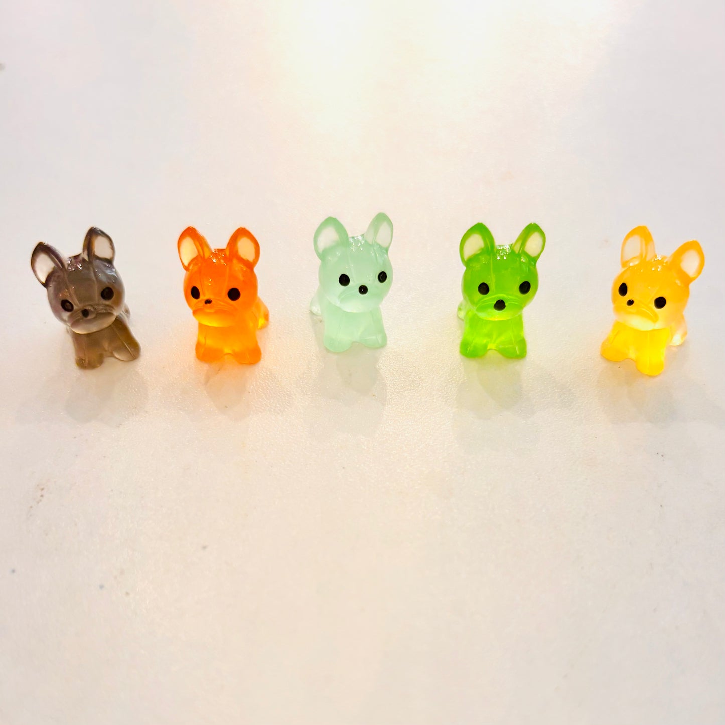 Miniature Dogs