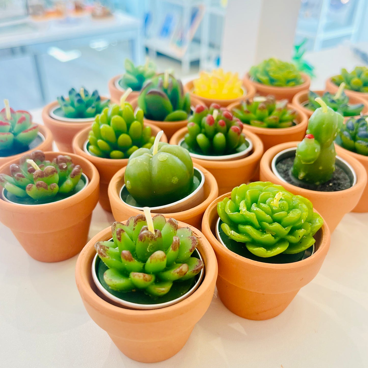 Mini succulent cactus candles in a mini terra-cotta pot